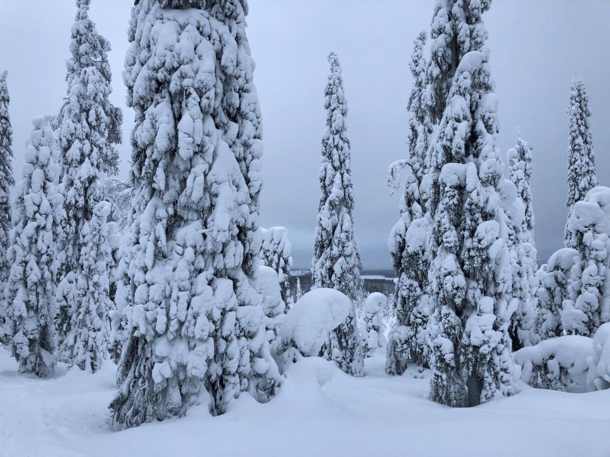 Kelokallas 2 Ruka Eksteriør bilde