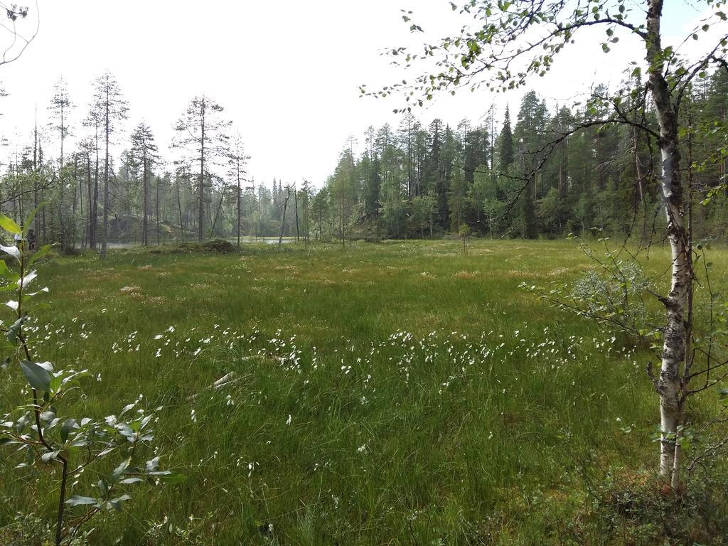 Kelokallas 2 Ruka Eksteriør bilde